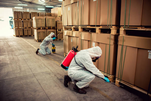 Best Cockroach Control Services  in Shaw Heights, CO