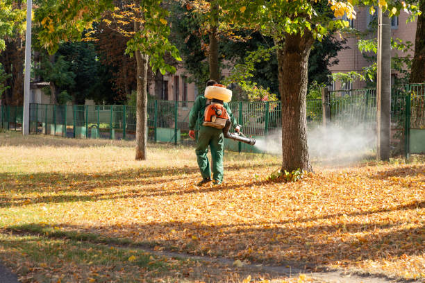 Best Insect Control  in Shaw Heights, CO